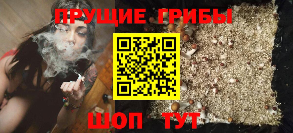 Галлюциногенные грибы Magic Shrooms Златоуст